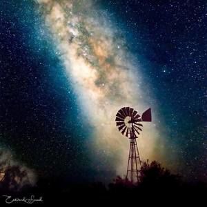 Meet your Posher, Jaymie